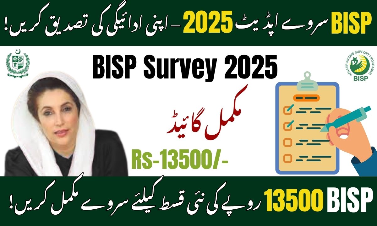 BISP survey 2025
